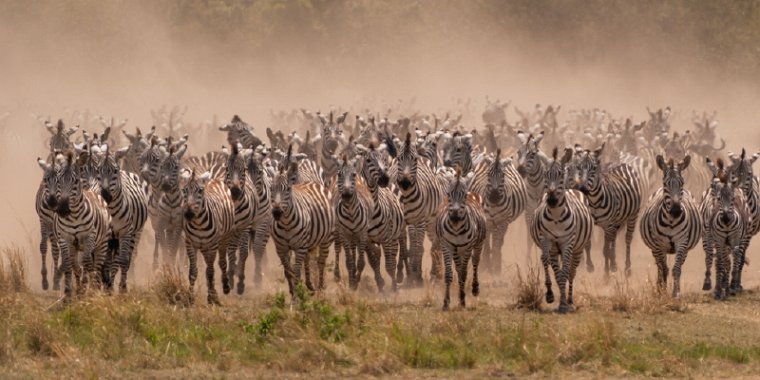 022 Masai Mara.jpg